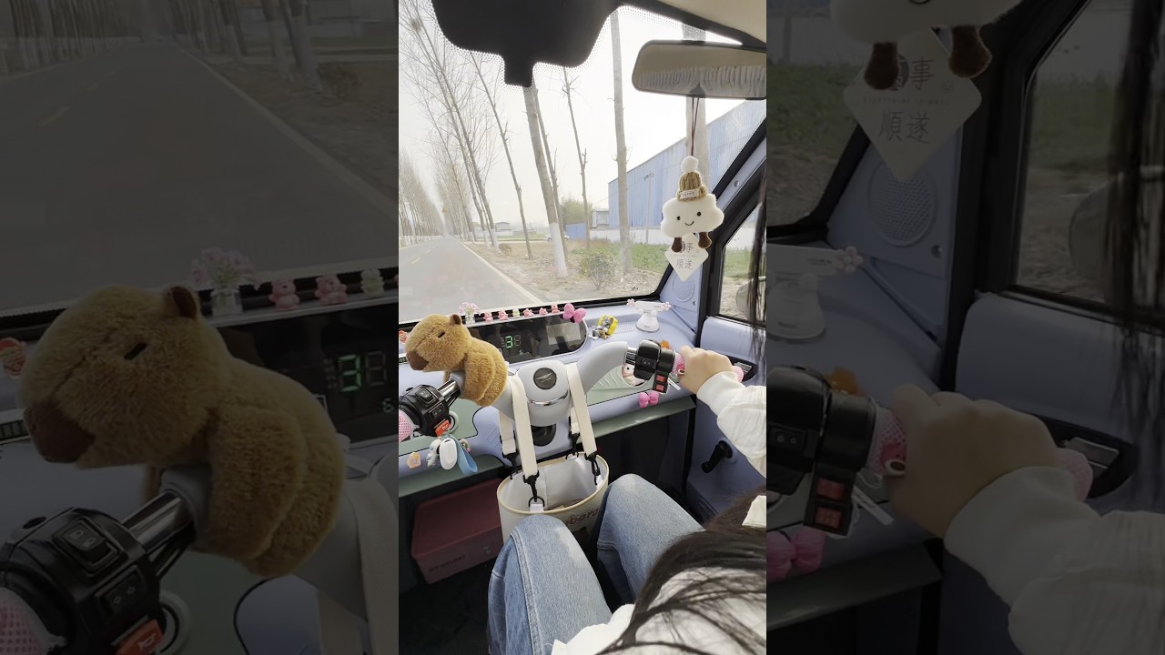 electric tricycle driving pov