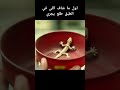 لما البنات شافوه حسوا بالشفقه