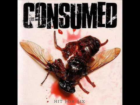 Consumed - Something to Do