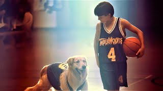 Boy Found A Genius Dog And They Created A Great Team To Win Every Game