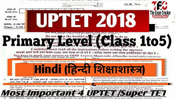 UPTET PREVIOUS YEAR SOLVED PAPER/UP TET PRIMARY LEVEL SOLVED PAPER /4 UPTET/Super TET 2019 Hindi