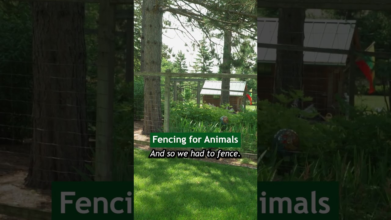 Garden fencing for deer #garden #garden