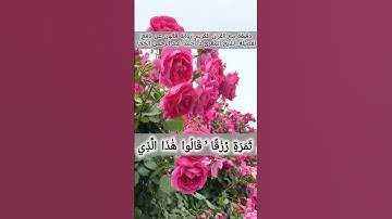#المصحف #تلاوة_خاشعة لفضيلة الشيخ د.أحمد عبد الرحمن الخجا برواية قالون عن نافع #اكسبلور