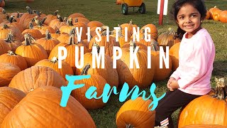 VISITING A PUMPKIN PATCH AND FALL DECOR!