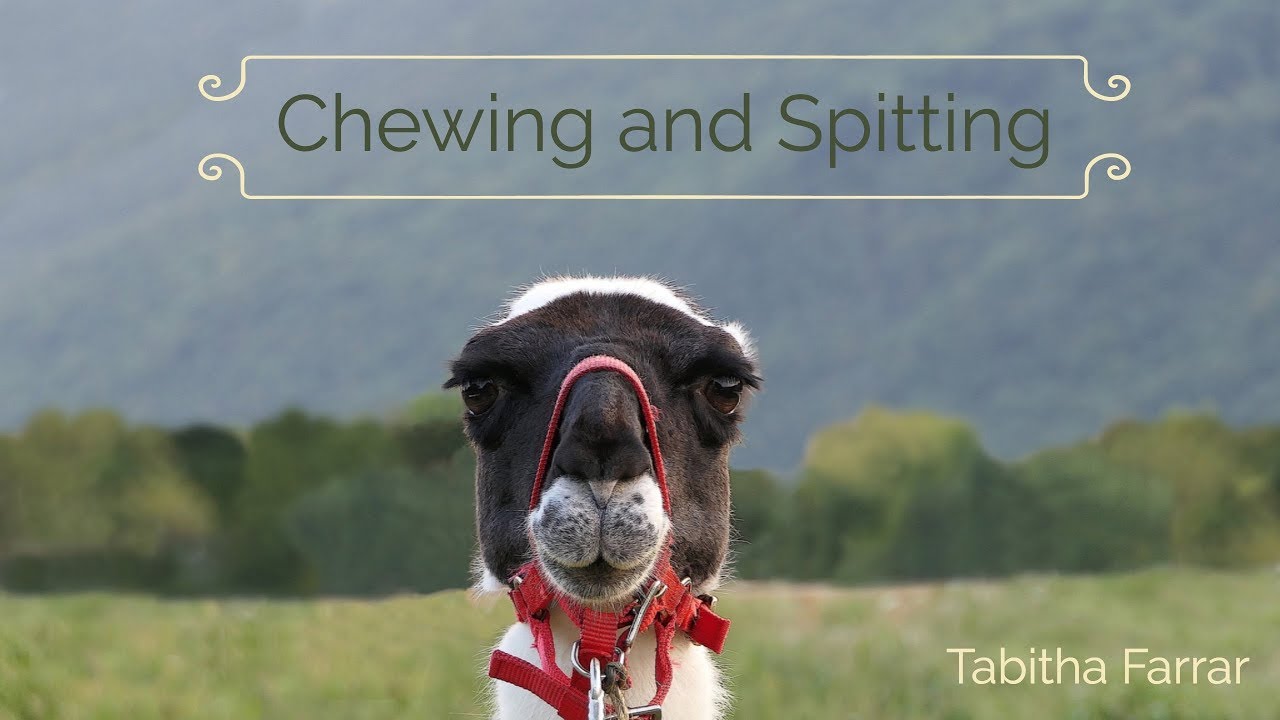 Chewing and Spitting YouTube