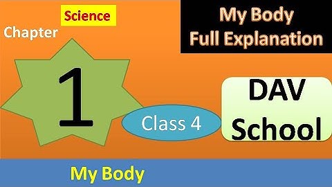 DAV Class 4 Science Chapter 1 My Body Science I DAV Class 4 Science Chapter 1 My Body