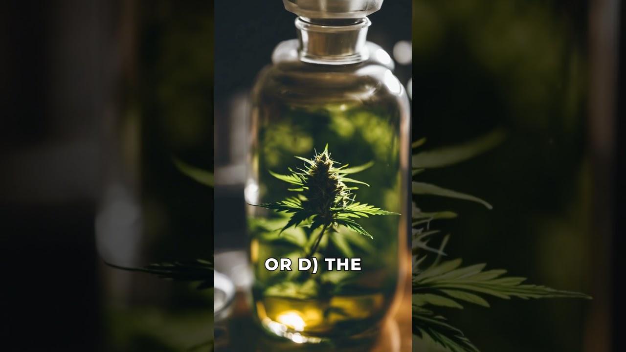 Rosin vs. Resin in Cannabis 