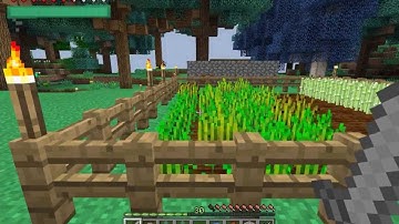 DartPlay 1.6.4 EP3 - Cool Beans