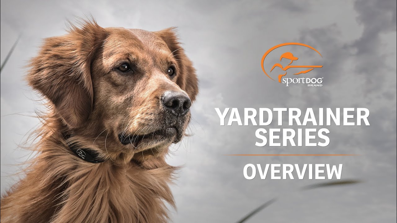 SportDOG Brand® YardTrainer E-Collars