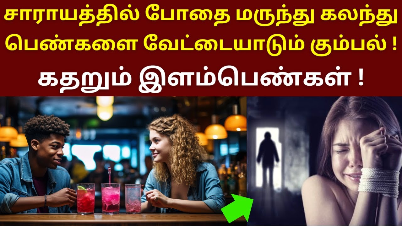 ஜப்பானில் அயர்லாந்து  பெண்ணிற்கு நடந்த சினிமாவை மிஞ்சும் உண்மை நிகழ்வு | Velrajan Diaries