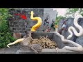 Brave Soldiers used high-tech Snake detectors to locate the Giant Python's Nest