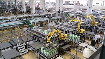FANUC Carton palletizing robot for whole layer
