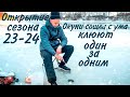 Окуни сошли с ума, клюют один за одним.Открытие сезона 2023-2024