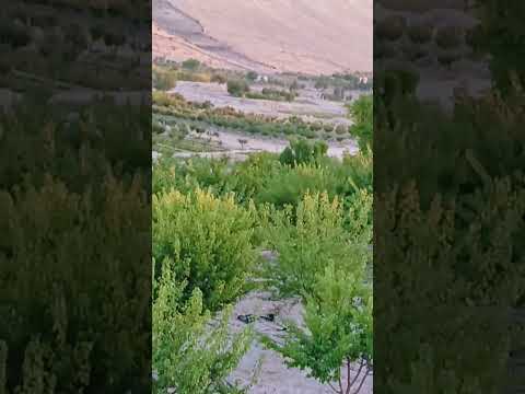 قال رسول الله صلى الله عليه وسلم صلوا على النبي اكسبلور صبرو لا الدعاء المستجاب تيك توك 