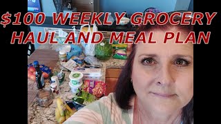 $100 WEEKLY GROCERY HAUL AND MEAL PLAN DOLLAR TREE FRYS SAFEWAY