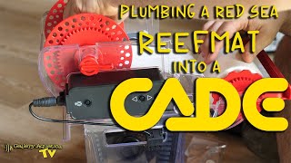 Plumbing a Red Sea ReefMat into a CADE!