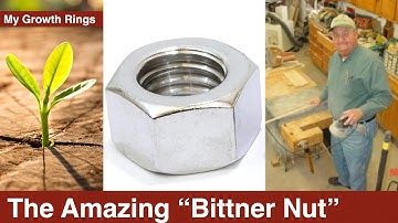 STUMPED? Q&As from "Jigs & Fixture... "Bittner Nut" & VR to Stumpy Nubs "Saw Guard Myths BUSTED!"