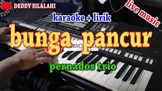 BUNGA PANCUR [KARAOKE] PERNADOS TRIO