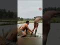 Almost pea on my pant while watching this #shorts #lolpro #funnyvideo #comedyfilms