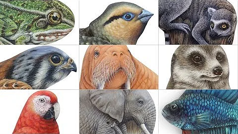 Giving Life to Rocks | 'Inspired by Nature' by Rob...