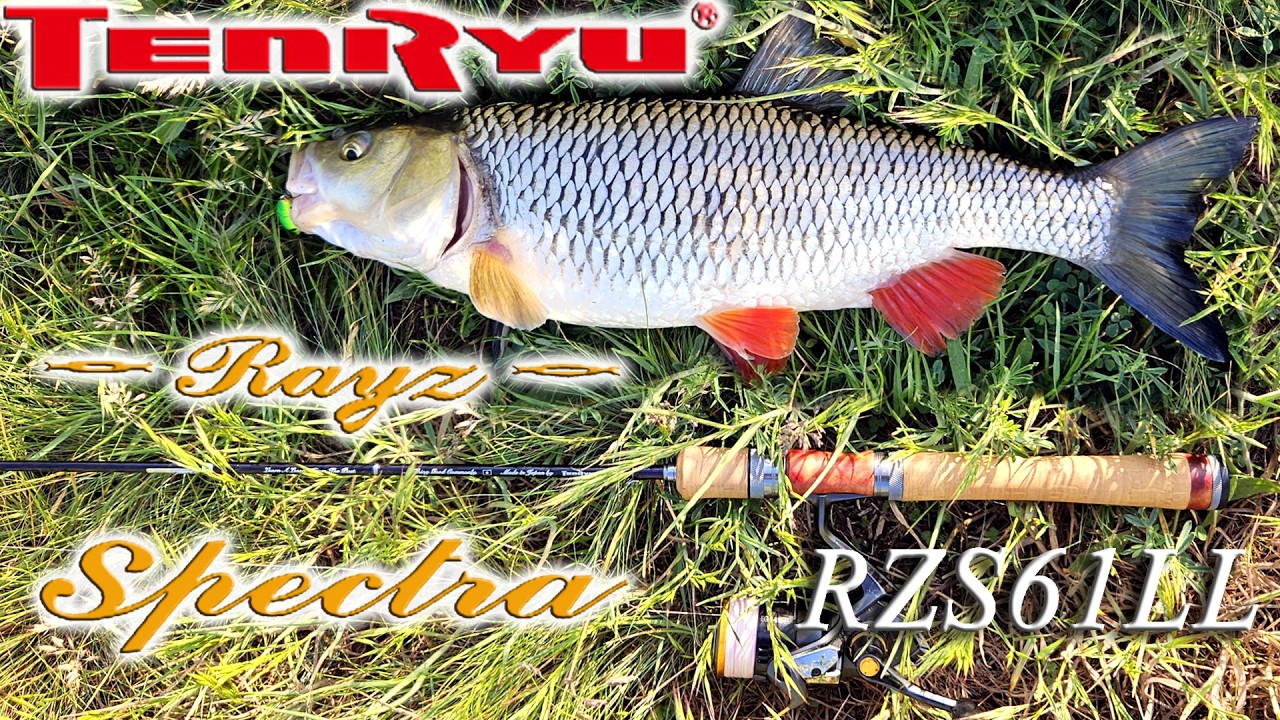 Обзор Tenryu Rayz Spectra RZS61LL на весенних рыбалках. 61-ая