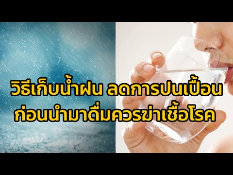 กรมอนามัย แนะ วิธีเก็บน้ำฝน ลดการปนเปื้อน เพื่อความปลอดภัย