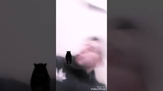 Wahid Dz المشحاحين في الجزائر ههههه