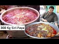 300 Kg Siri Paya Recipe Peshawar Foods Head and Legs Fry Recipe