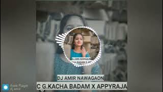 NEW CG SONG 'KACHA BADAM X APPY RAJA ' DJ AMIR NAWAGAON &DJ DEEPAK