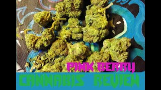 Pink Berry Cannabis, Kush Strain Review, Pink berry