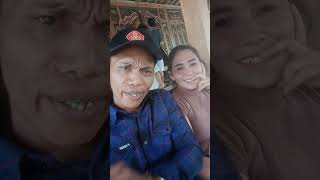 pardi kucing giyantini nyontong ae 😂😂😂