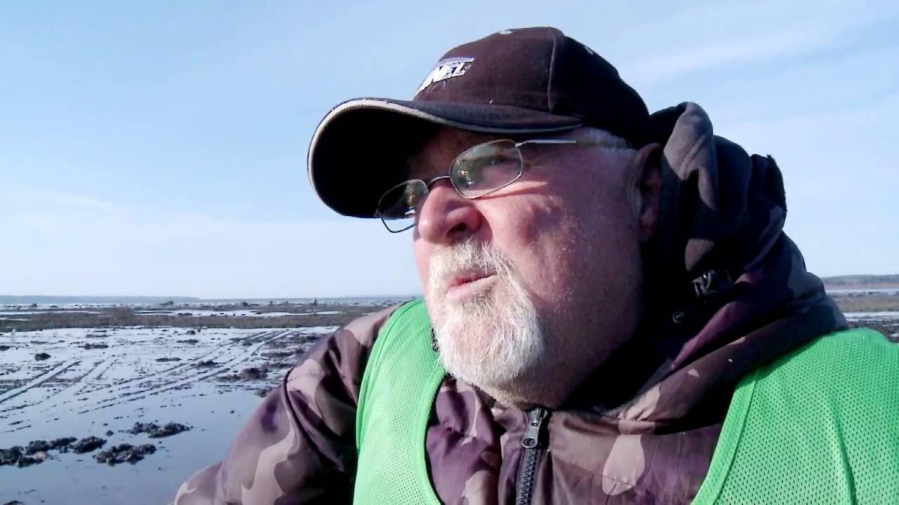Innovative Fishery Products, Belliveau Cove, NS YouTube