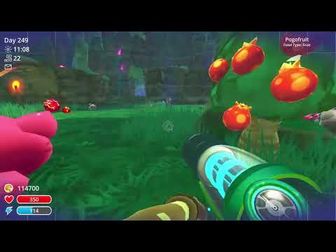 How to get wild honey in slime rancher!