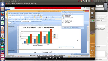 SAP Crystal Reports:Master-Detail,Cross-Tab,Sub-Reports