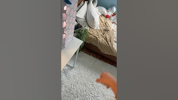 #tech #techtok #fyp #shorts #fortnite #minecraft #gaming #setup #gamer #gta #pc #pcs #computer #fy