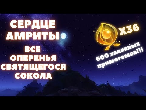 CЕРДЦЕ АМРИТЫ ❖ ГДЕ НАЙТИ ВСЕ ОПЕРЕНЬЯ ОЧИЩАЮЩЕГО СВЕТА ❖ GENSHIN IMPACT 3.6