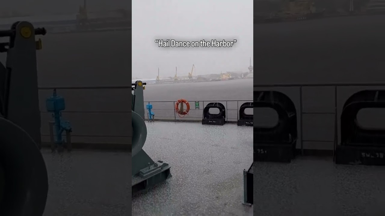 "HailDanceOnTheHarbor" 