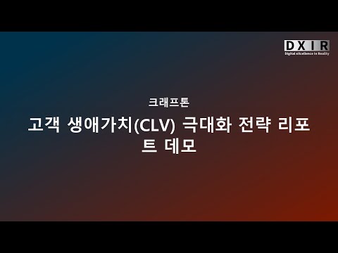 고객 생애가치(CLV) 극대화 전략 리포트 데모
