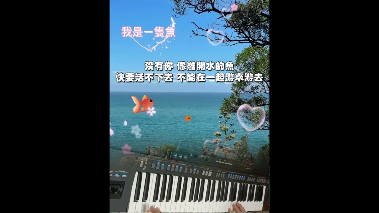 我是一隻魚 - 20260111