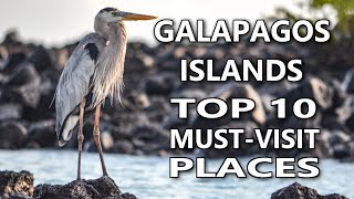 Volcanic Paradise Unveiled: Top 10 Galapagos Wonders