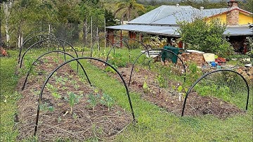 How to create a new no dig garden bed