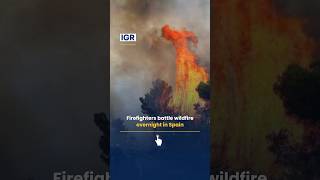 Firefighters Battle Wildfire Overnight in Spain’s Castellon | IGR | India Global Review