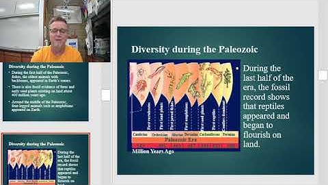 CW Bio Ch 17 Geologic Time