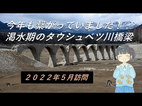 【廃線跡】今年も行ってきました！渇水期のタウシュベツ川橋梁と…