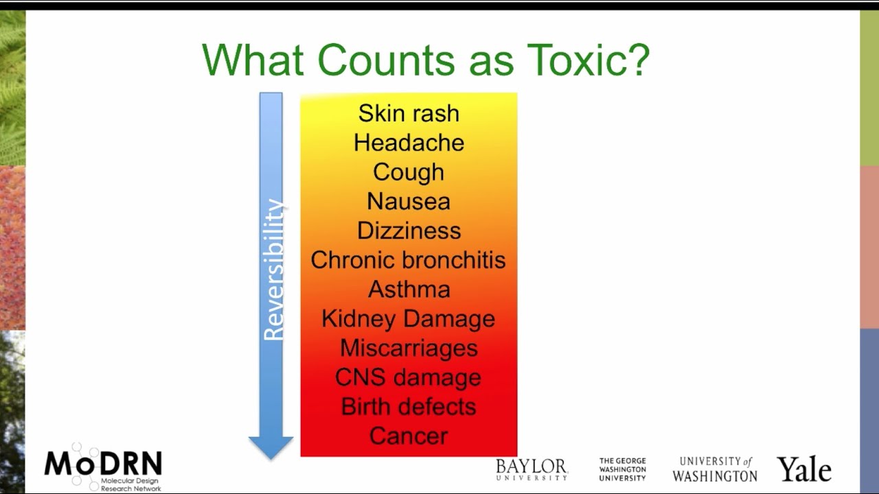 M3B MoDRN Toxicology