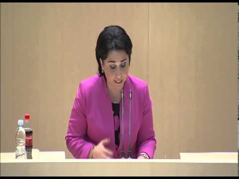 ეკა ბესელიას გამოსვლა პარლამენტის პლენარულ სხდომაზე მთავრობისადმი ნდობის გამოცხადების შესახებ