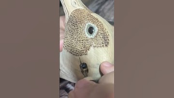 Wood Carving a Duck Burning Feathers Part 7