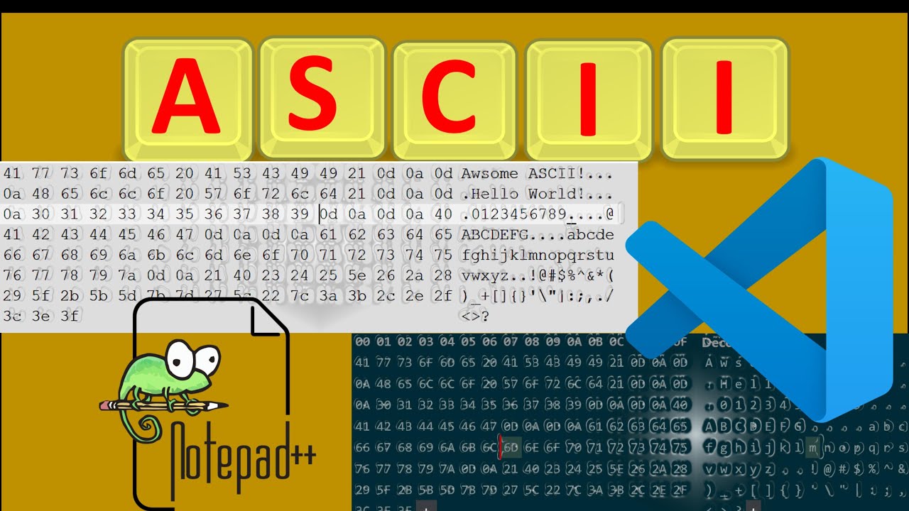 用 VSCode 与 Notepad++ 查看 ASCII 码 - YouTube