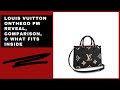 LOUIS VUITTON ONTHEGO PM REVEAL, COMPARISON, & WHAT FITS INSIDE