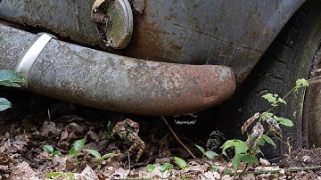 Kill it with Fire Ep. 2: Maniacal Laugh